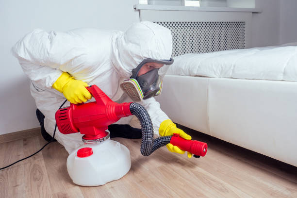Best Termite Control Services  in Arcadia, LA