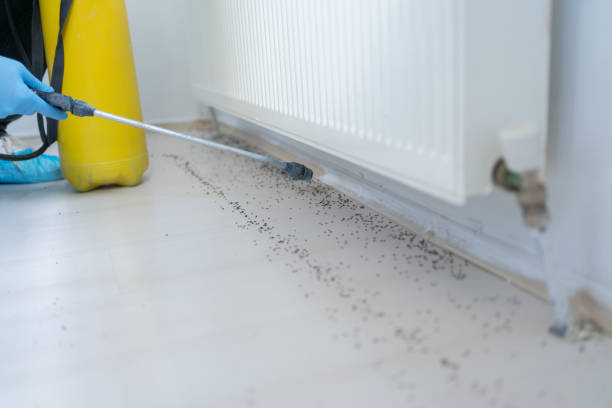 Best Bed Bug Extermination  in Arcadia, LA